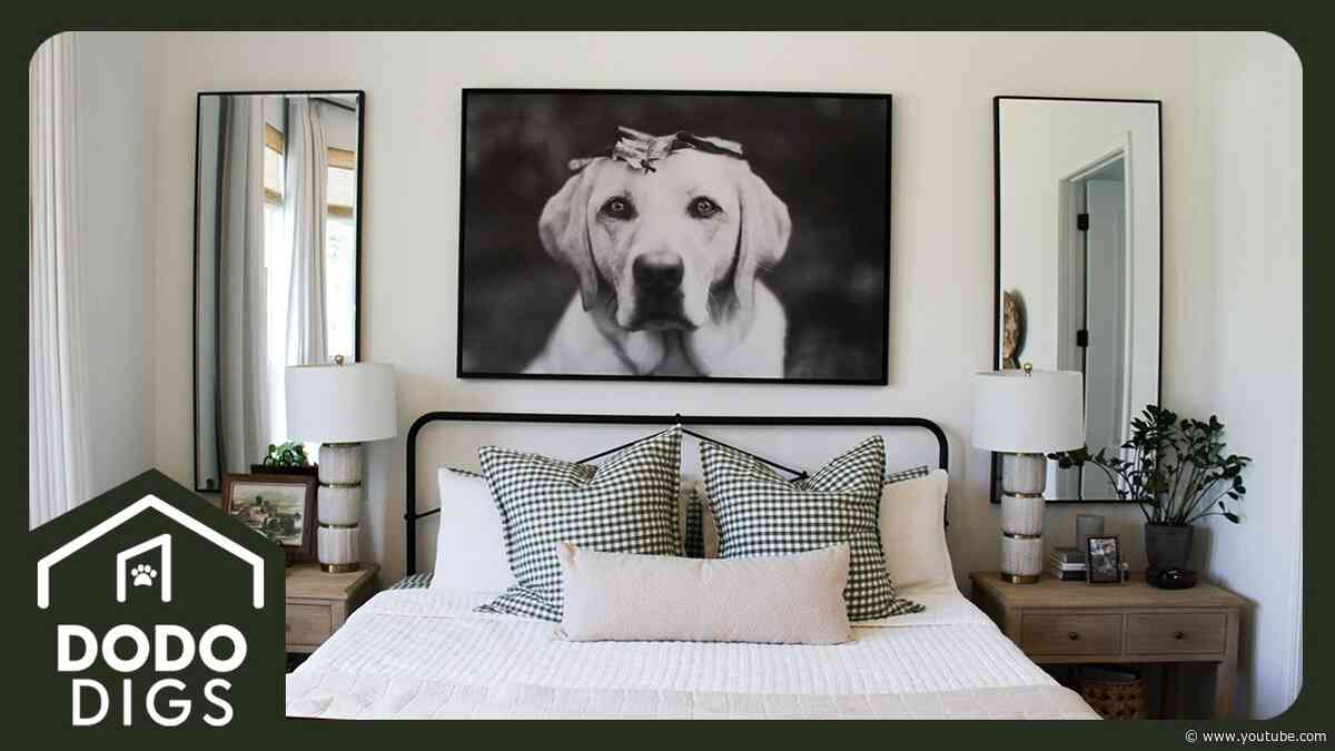 House Comes With A Pool Just For Three Labs | The Dodo