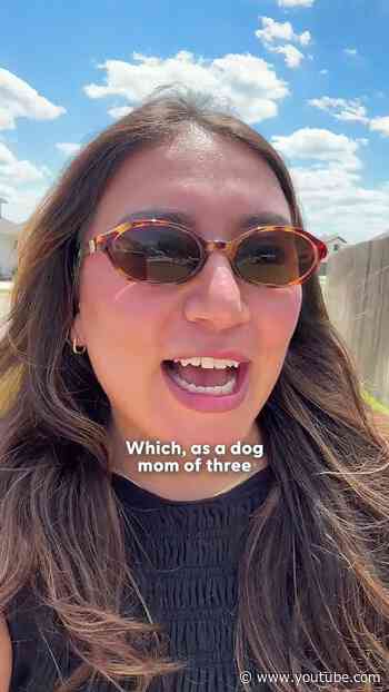 On The Next Episode Of Dodo Digs | The Dodo
