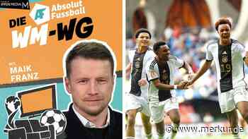 Ex-Profi Maik Franz fordert deutliche Veränderung im deutschen Nachwuchsfußball
