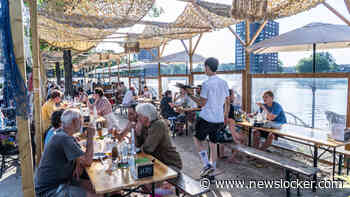 Eten bij Viskantine is sfeervol smikkelen met voeten in het zand, en na het eten kan je zelf een duik nemen