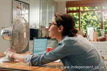 UK electricity grid issues rare warning as air conditioning use surges in heatwave