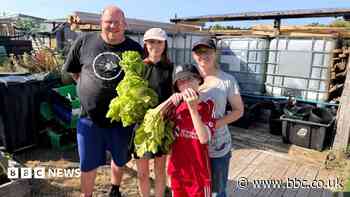 Losing allotment would be 'absolutely devastating'