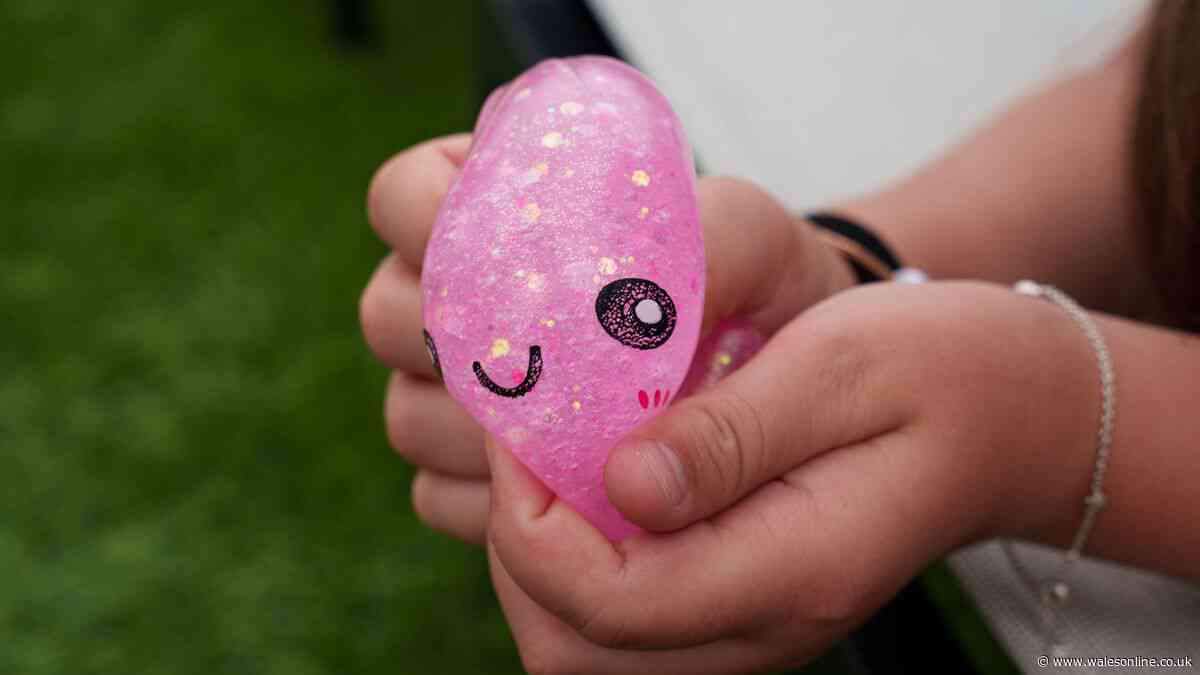 Heatwave squishy warning as the toys are bursting in hot cars