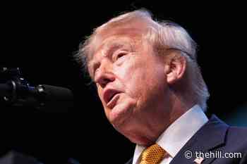 Trump on Platner rape allegations: 'A lot of people say big falsehoods'