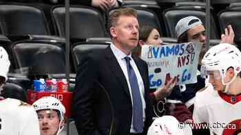 Daniel Alfredsson says he had to leave Ottawa Senators bench to improve as coach