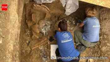 A 2,500-year-old warrior prince tomb found in Italy had a chariot, helmet and weapons still inside