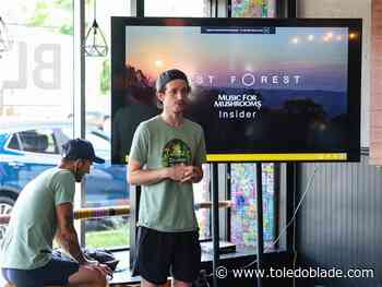 New local group seeks decriminalization of psychedelic plants and fungi