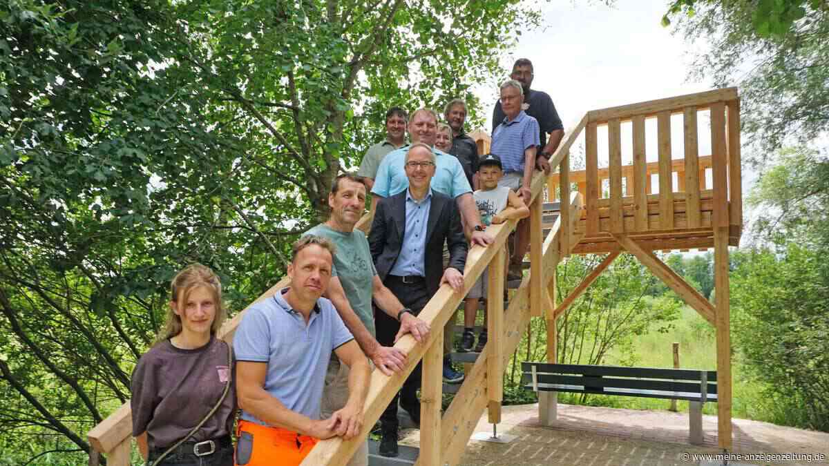 Aussichtsplattform am Hutanger: Wasserbüffel grasen auf neun Hektar