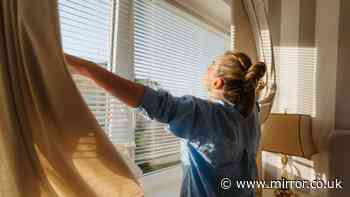 Keep your house cool in a heatwave by putting one simple kitchen item on windowsill