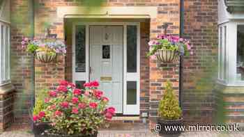 Boost your home's kerb appeal with 'stunning' £8 Home Bargains item that 'lasts'