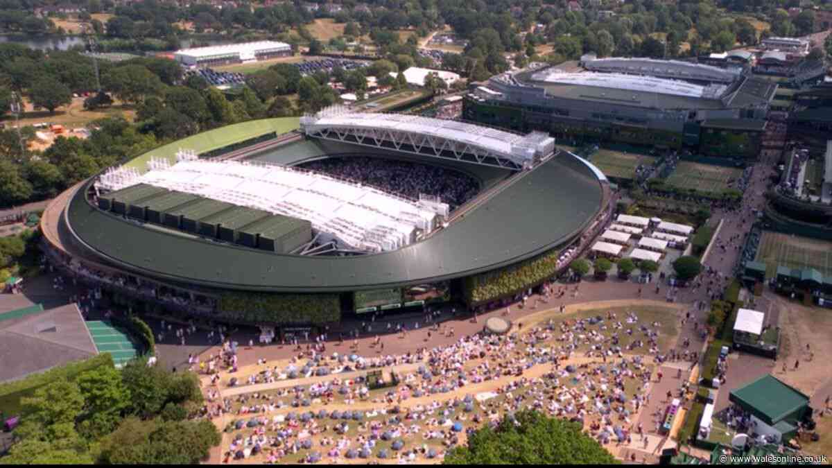 Wimbledon semi-final halted and announcement made as umpire addresses crowd