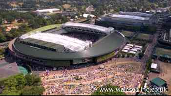 Wimbledon semi-final halted and announcement made as umpire addresses crowd