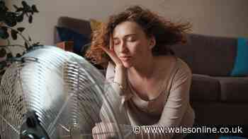 Keep your bedroom cool during heatwave by placing item on the windowsill before bed