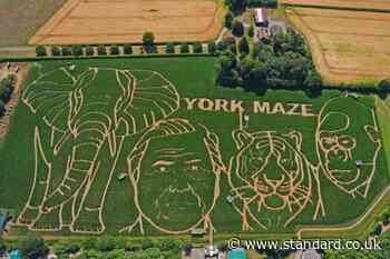 15-acre maze cut into design celebrating David Attenborough’s 100th birthday