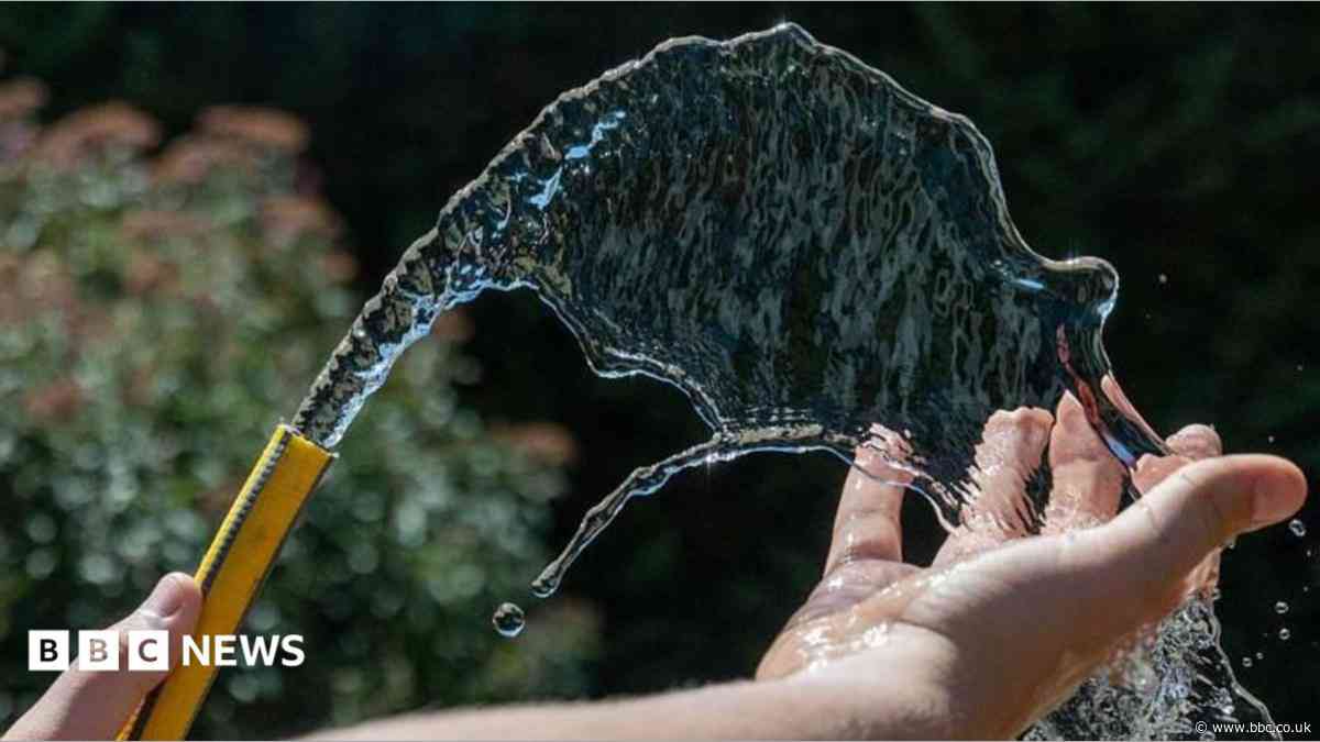 No hosepipe ban for Sussex, says water boss