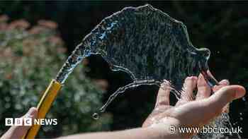 No hosepipe ban for Sussex, says water boss