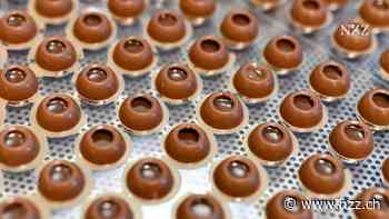 Achterbahnfahrt der Kakaopreise: Der weltgrösste Schokoladekonzern Barry Callebaut wächst endlich wieder