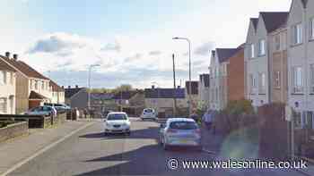 Woman, 32, dies after being found unresponsive at Cardiff house