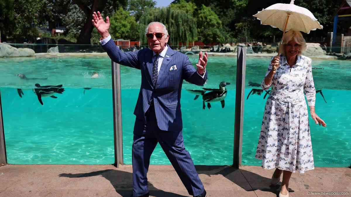 Koning Charles (77) schildert huisje van een slak bij bezoek aan Londense dierentuin: ’Veel gedaan in mijn leven...’