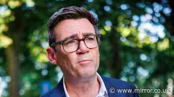 Andy Burnham planning for Downing Street for at least a year, top ally Louise Haigh says