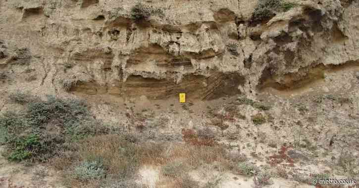 ‘Lost world’ close to California could change what we know about American history