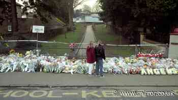 Restore's Rupert Lowe sparks fury for describing Dunblane massacre as 'one murder'