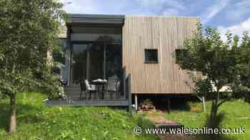 Holiday lodge with 'fab hot tub' is 'great for family of four and a dog'