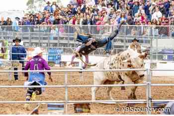 Laramie Jubilee Days July 9: Jalapeno Eating Contest, Bull Riding, Live Music