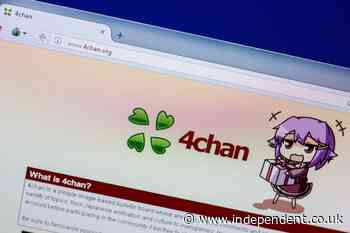 A giant hamster, a £520k fine, and a battle for regulation: What happens next in Ofcom’s fight with 4chan?