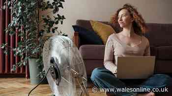 The 'European' method to keep your home cool without air conditioning