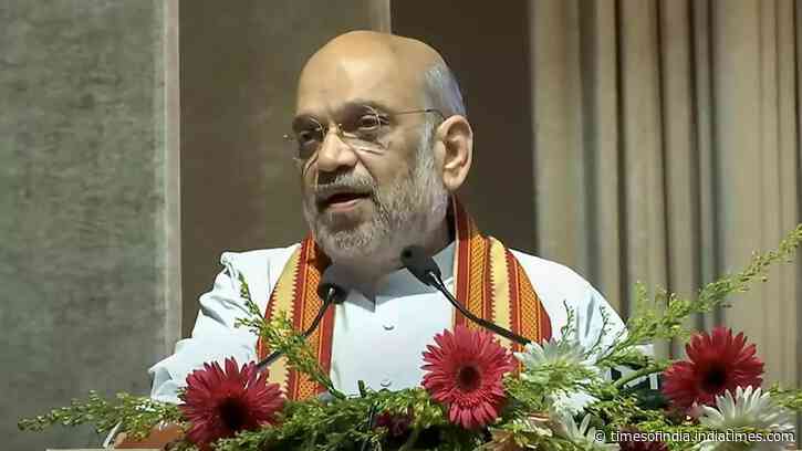 MHA unveils four-layer 'smart border' grid, cites J&amp;K, Northeast gains