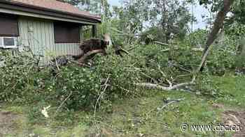 3 people taken to hospital, damage reported after RCMP say tornado touched down at Alberta campground