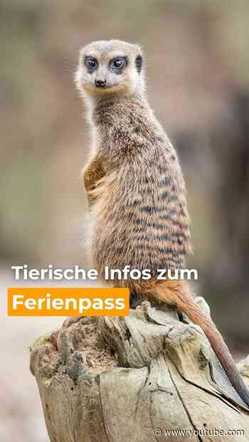 Ferienpass 2026