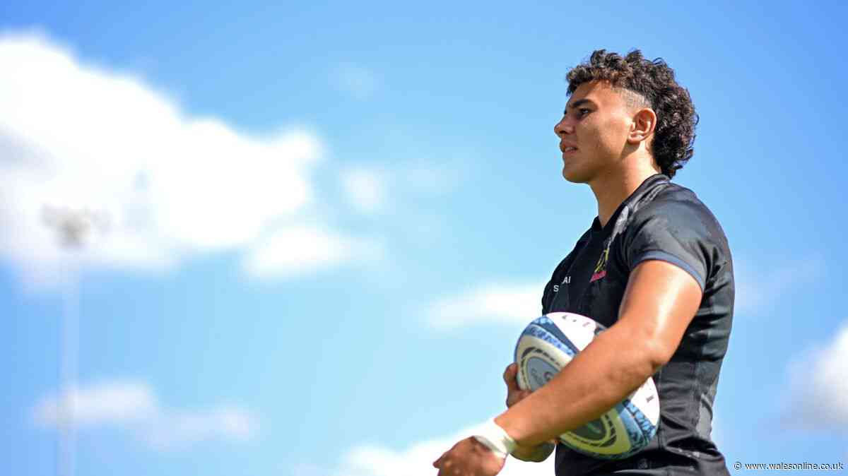 What Wales' latest debutant can bring to Steve Tandy's side