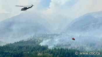 'There's wreckage everywhere': Resort owner loses cabins, trailers in growing B.C. wildfires