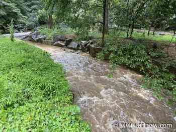 WEATHER ALERT: Flood Watch, Severe Thunderstorm Watch issued for Arlington