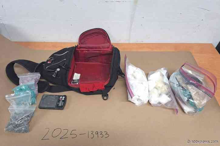 Police in Abbotsford seize 12 kilos of drugs and $60K cash