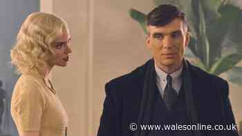 'Brilliant' crime drama based on beststeller is Peaky Blinders fans' next binge