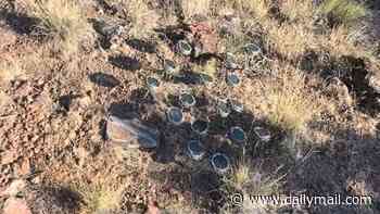 Mystery of why hundreds of speakers were buried in hillside to blare eye-catching message is solved