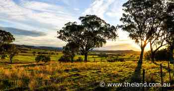 Why buying more land isn't always the answer: making every hectare count