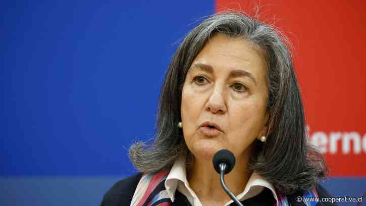 Ministra Chomali viaja a Antofagasta ante hallazgo de mosquito transmisor del dengue