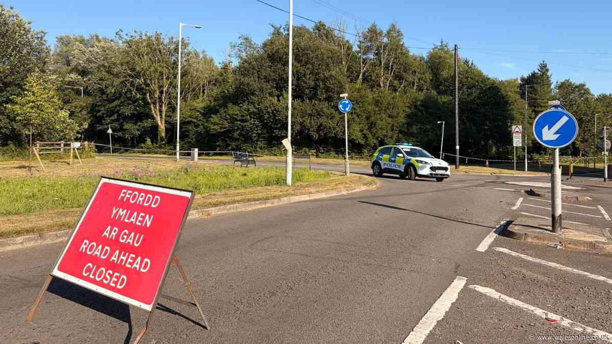Teen dead and another in hospital as 18-year-old held over alleged crash murder