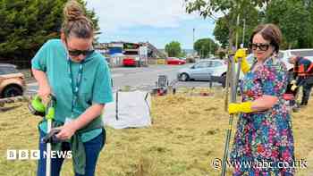 Villagers cut down 'neglected' council land grass