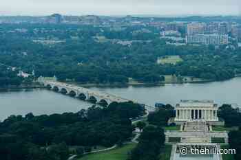 Trump's plan for a triumphal arch in DC wins early approval from a key federal agency