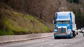 Brampton man sentenced to 20 years in U.S. for trafficking drugs using transport trucks