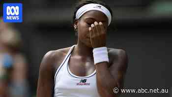 Gauff's horror miss sets up historic all-Czech Wimbledon women's final