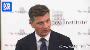 Angus Taylor slams One Nation saying the party would 'send us broke' if it wins government