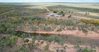 Highly developed breeding operation with 2400 cattle and plant | Video