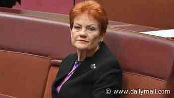 Liberal leader Angus Taylor refuses to work with Pauline Hanson's One Nation - after she urged them to come together