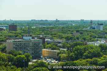 Mayor flip-flops on cutting tree-planting budget after intense criticism